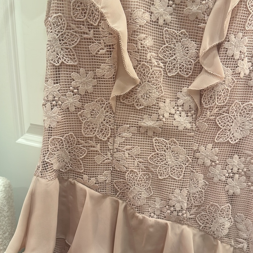 Parker Womens Dresses Parker Gabriel Dusty Light Pink Lace Ruffle Mini Dress - Picture 4 of 6